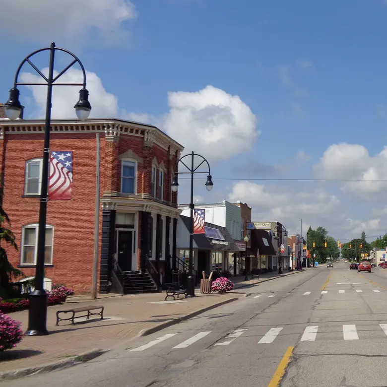 Bad Axe, MI