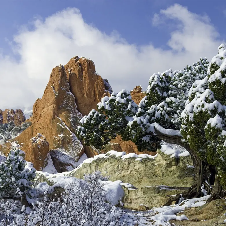 Colorado Springs, CO