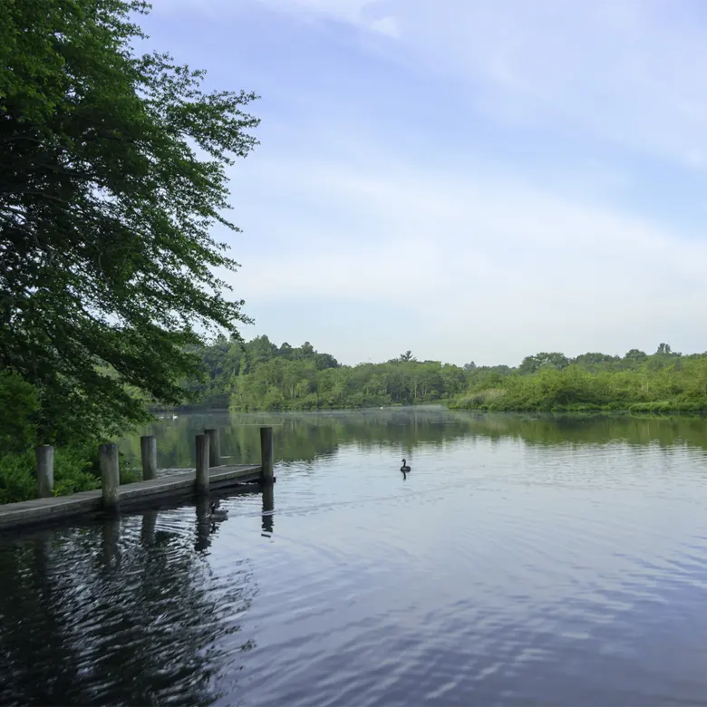 Commack, NY
