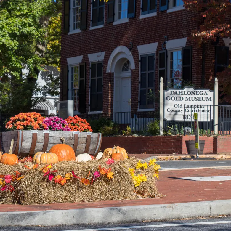 Dahlonega, GA
