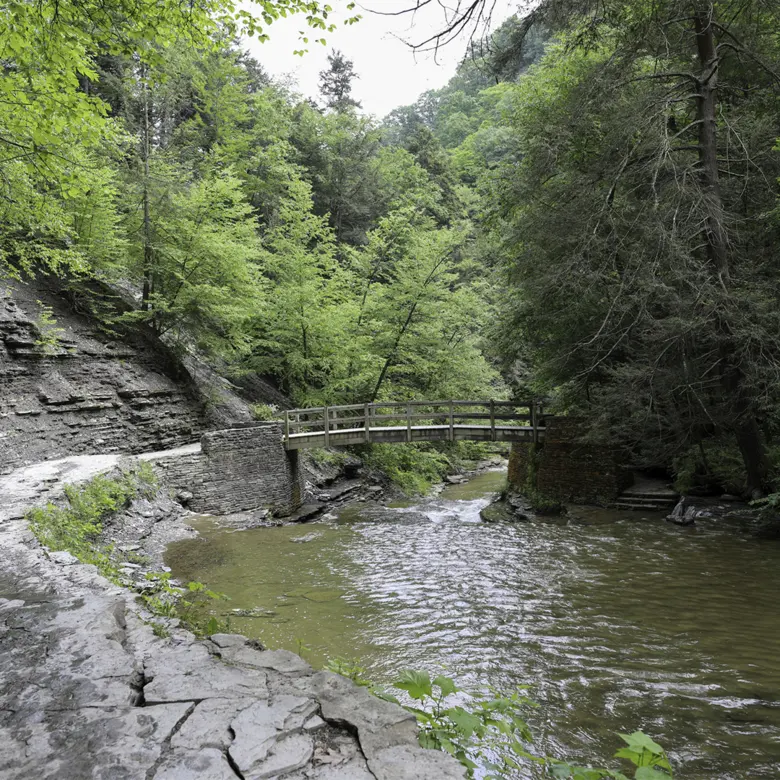 Dansville, NY