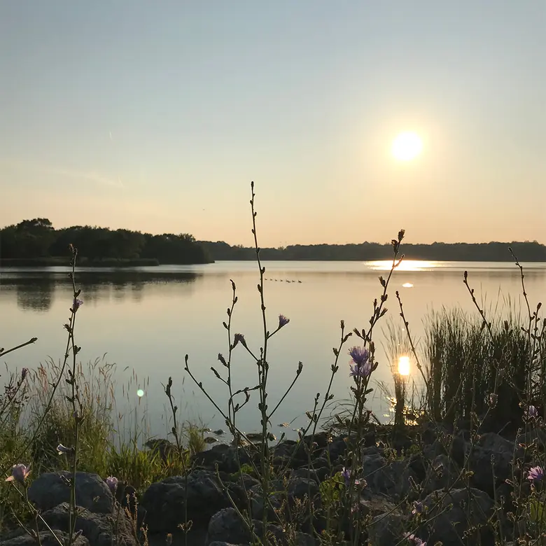 Elk Grove Village, IL