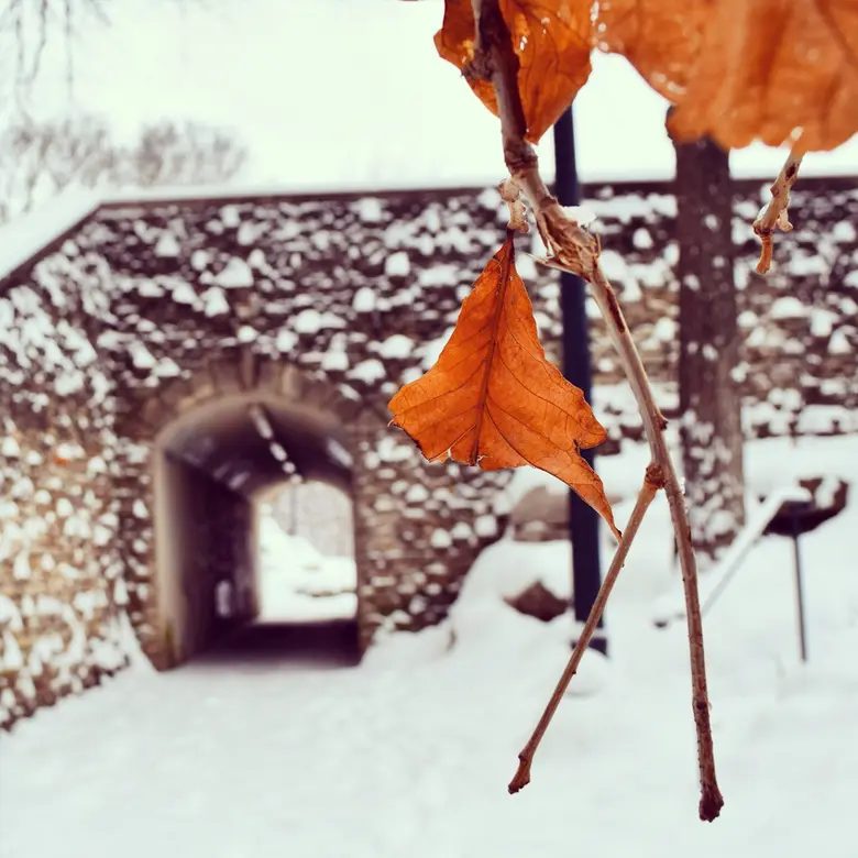 Elmwood Park, IL