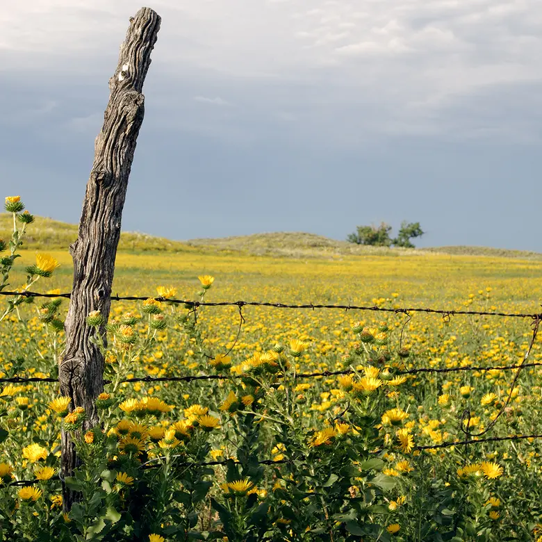Emporia, KS