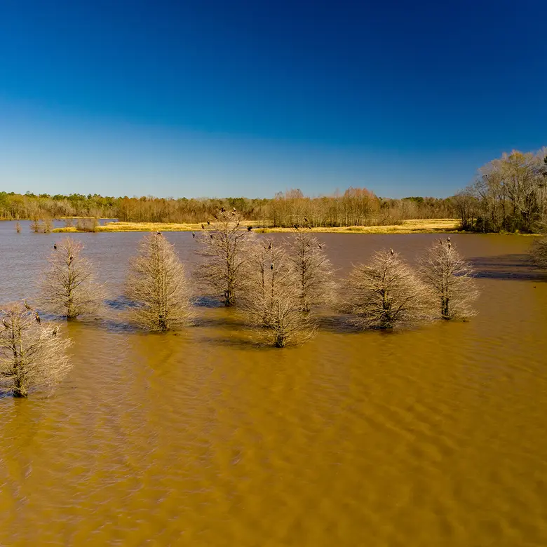 Eufaula, AL