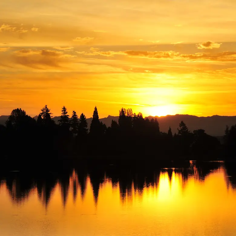 Federal Way, WA