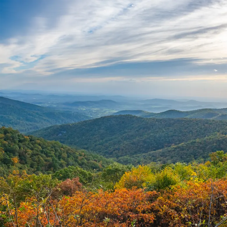 Fishersville, VA
