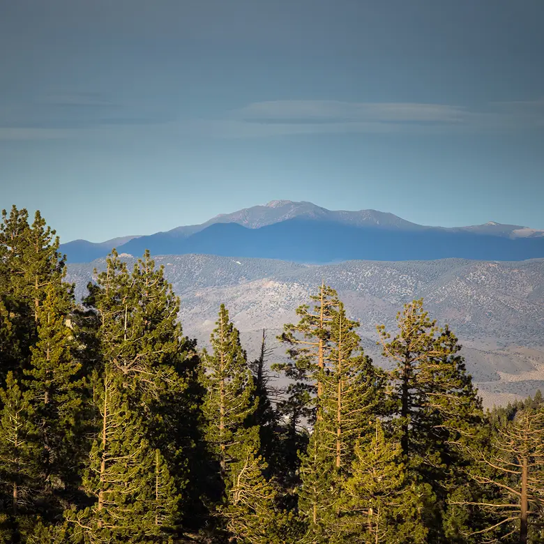 Gardnerville, NV