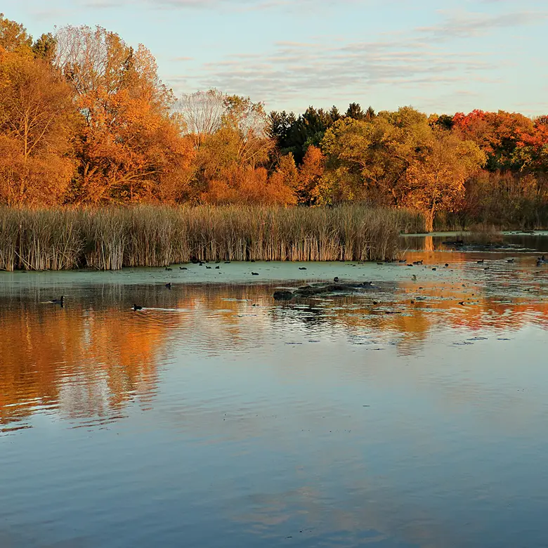 Golden Valley, MN