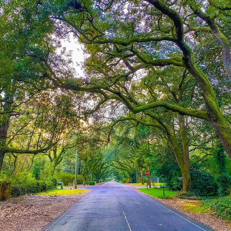 Greenville, AL