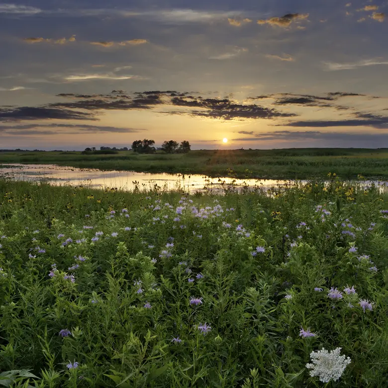 Hoffman Estates, IL
