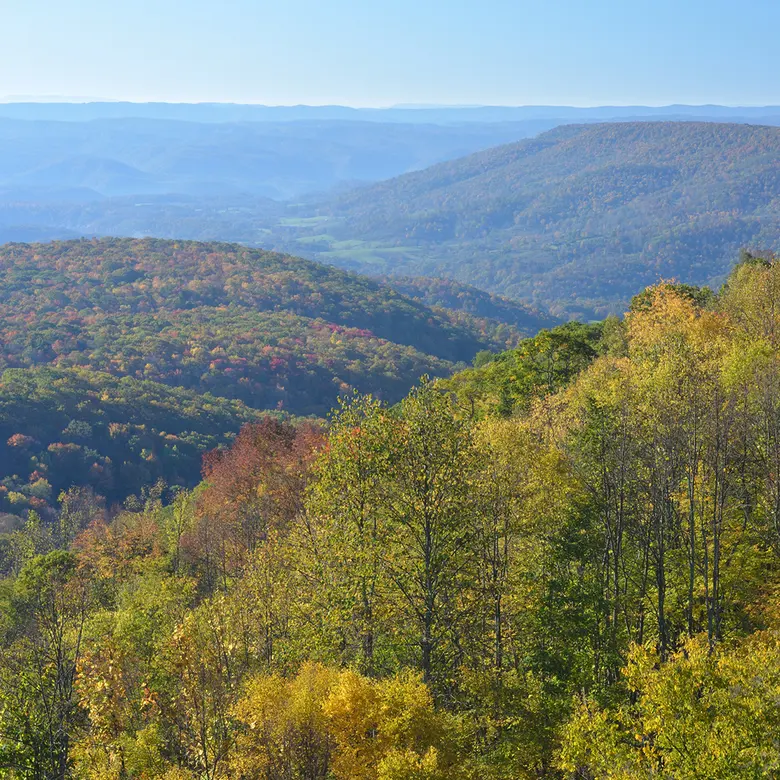 Kingwood, WV
