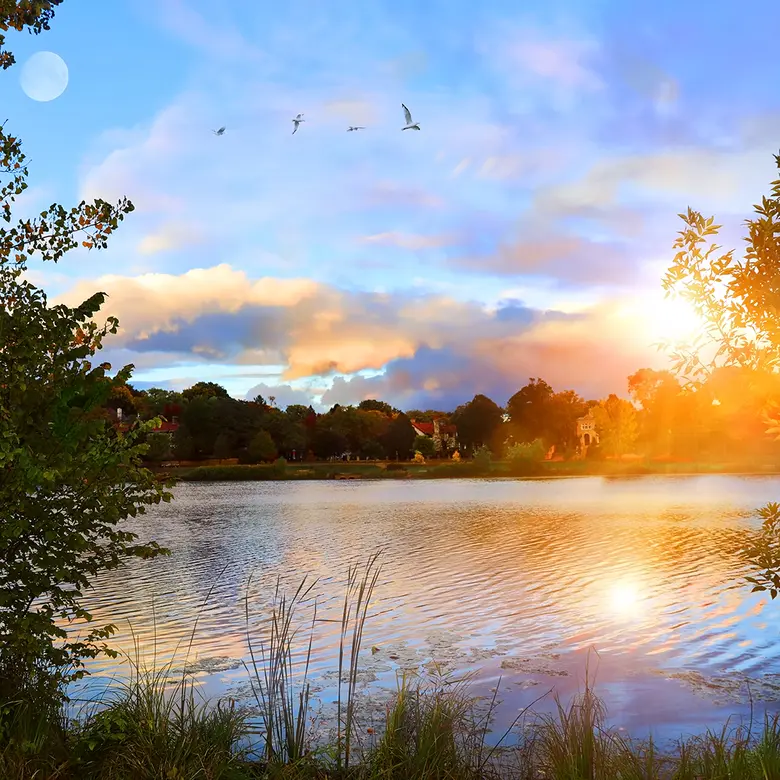 Lakeville, MN