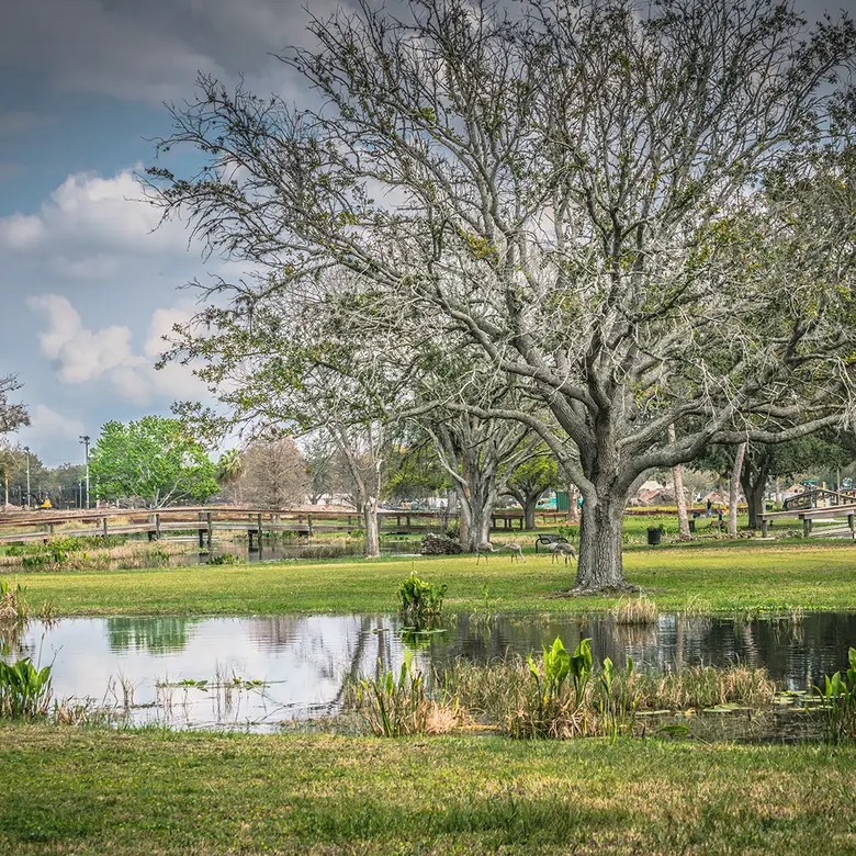 Leesburg, FL