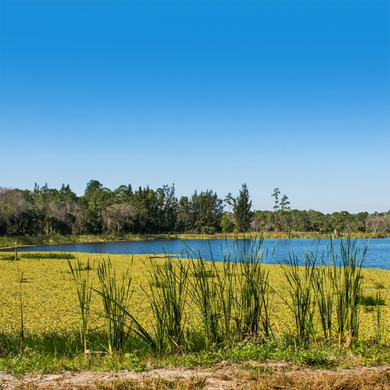 Loxahatchee, FL