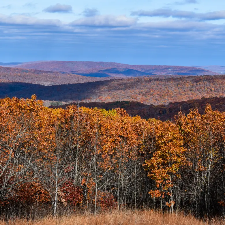 Mountain View, MO