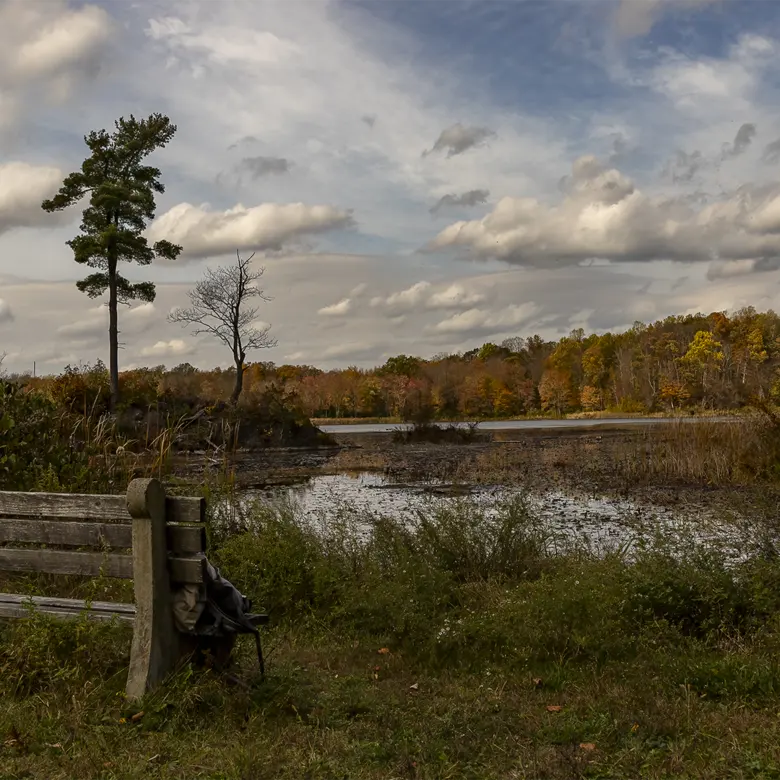 Newton, NJ