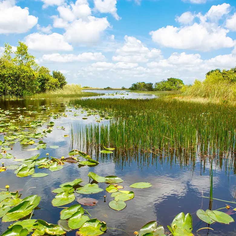 Oviedo, FL