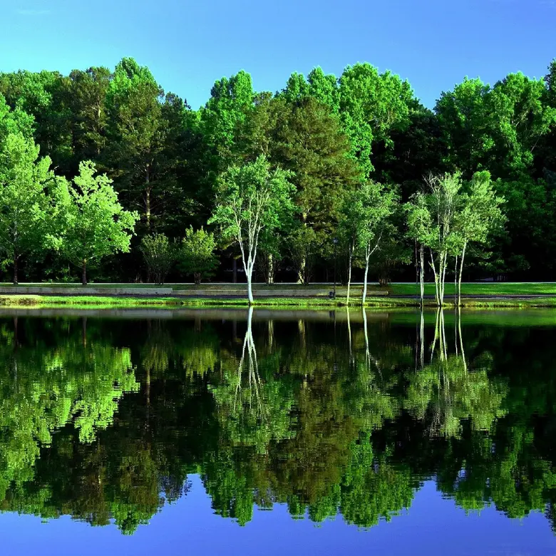 Peachtree City, GA