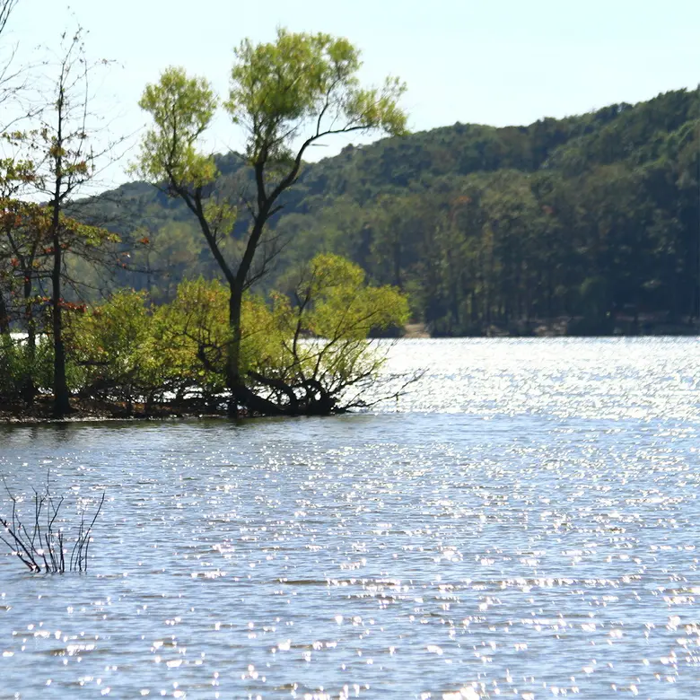 Rockville Centre, NY