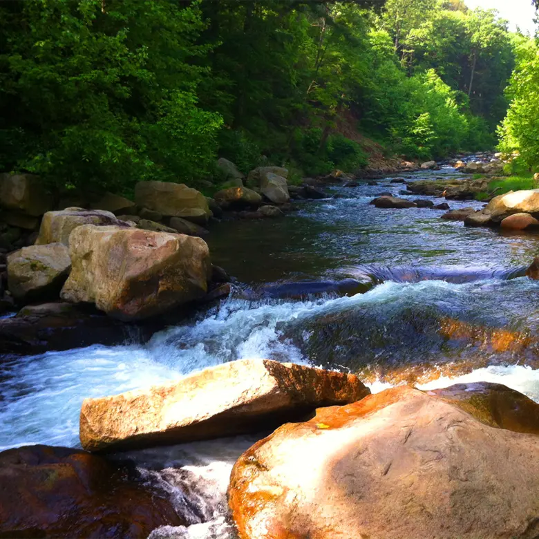 Somerset, PA