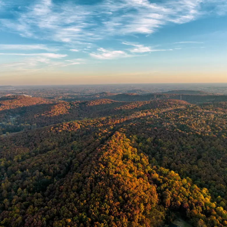 South Williamson, KY