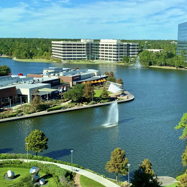 The Woodlands, TX