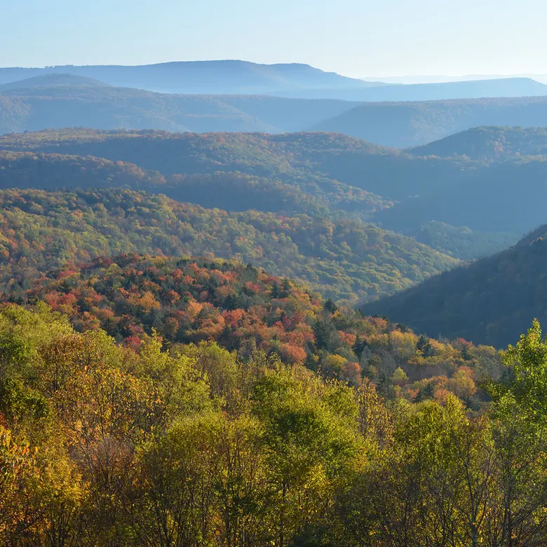 White Hall, WV