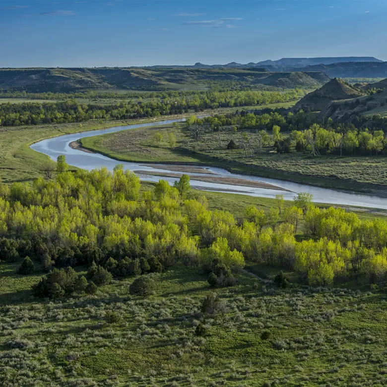 Williston, ND
